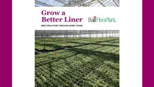 Need Advice on Growing a Better Liner? Here’s a Helpful Resource