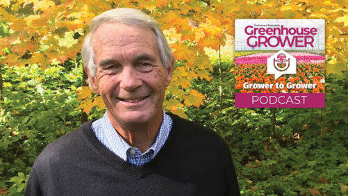 Grower to Grower Podcast: Dr. Allan Armitage on His Latest Book, Plants That Catch His Eye, and More