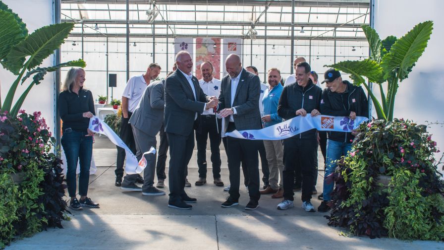 Growing With Purpose at Grand Flower Growers