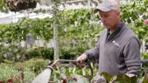 Insights on Smart Adoption of AI Tools in Floriculture Operations