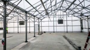 How to Design Your Greenhouse Around Automation