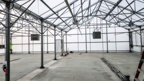 How to Design Your Greenhouse Around Automation