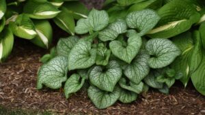 How Plant Breeding Is Changing