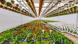 How Smarter Heating and Cooling Controls Reduce Greenhouse Risk