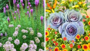 Rethinking Garden Center Layouts to Better Guide Consumers