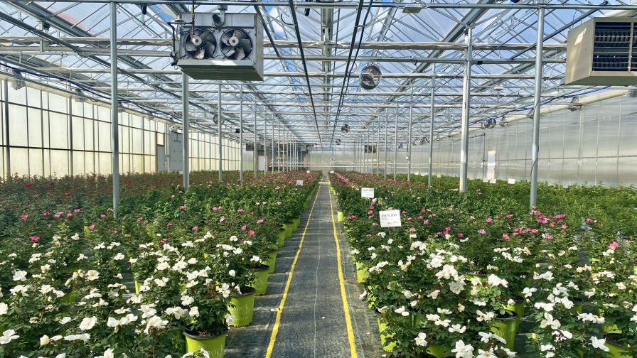 What Midwest Groundcovers Learned from Implementing a New ERP System