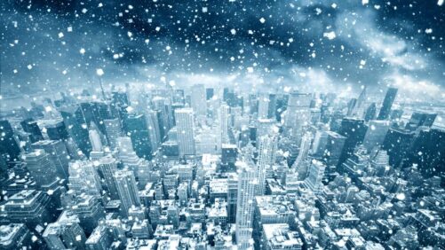 Why the Houseplants You Grow Help Fight Seasonal Affective Disorder