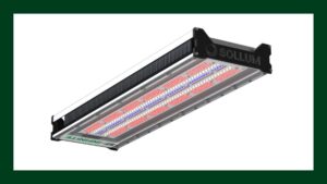 Video Spotlight: The Future of Greenhouse Lighting