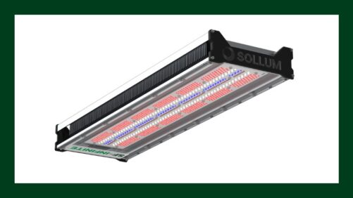 Video Spotlight: The Future of Greenhouse Lighting