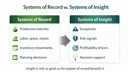 Five Trends Shaping AI Implementation in Horticulture