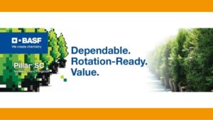 BASF Pillar SC Intrinsic Fungicide Now Available in California