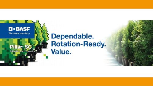 BASF Pillar SC Intrinsic Fungicide Now Available in California