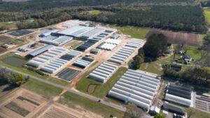 Emerald Coast Growers Celebrating 35 of Growing in 2026