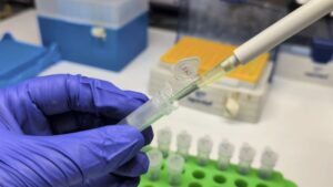 How PCR and DNA Sequencing Are Improving Pathogen Diagnosis in Greenhouses