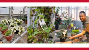Behind the Scenes at a Tropical Plants Research Greenhouse