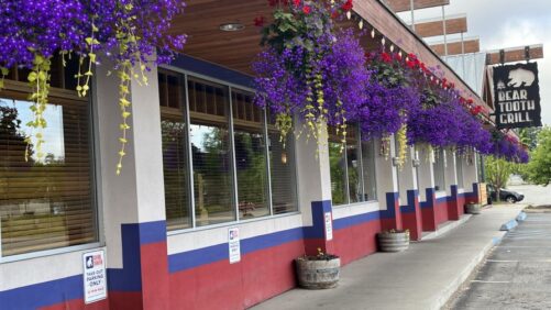 Annual vs Perennial, Not Really Important?