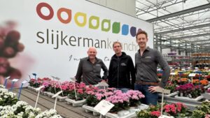 Increasing Grower Access to Kalanchoe in the U.S.