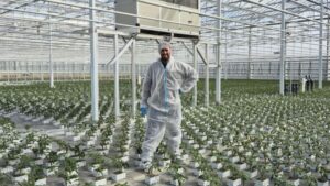 Smarter HVAC Strategies Help Growers Improve Efficiency and Climate Control