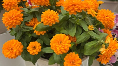 Highlights From Day 1 of California Spring Trials 2026