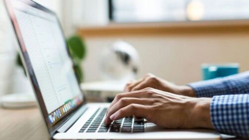 How Do You Use Media in Floriculture in 2026?